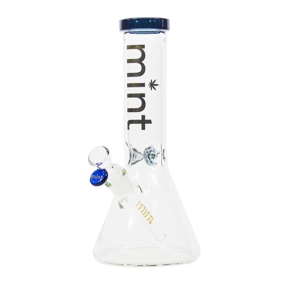 12” Mint Thicc Chick (5mm) - Violet simple Mint Glass Bongs Canada