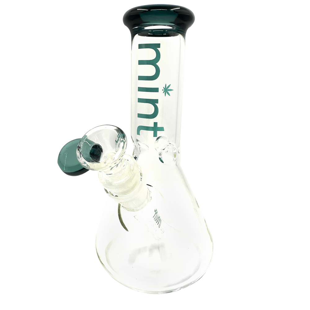 8" Mint Stubby Beaker Bong Mint Glass Bongs Canada