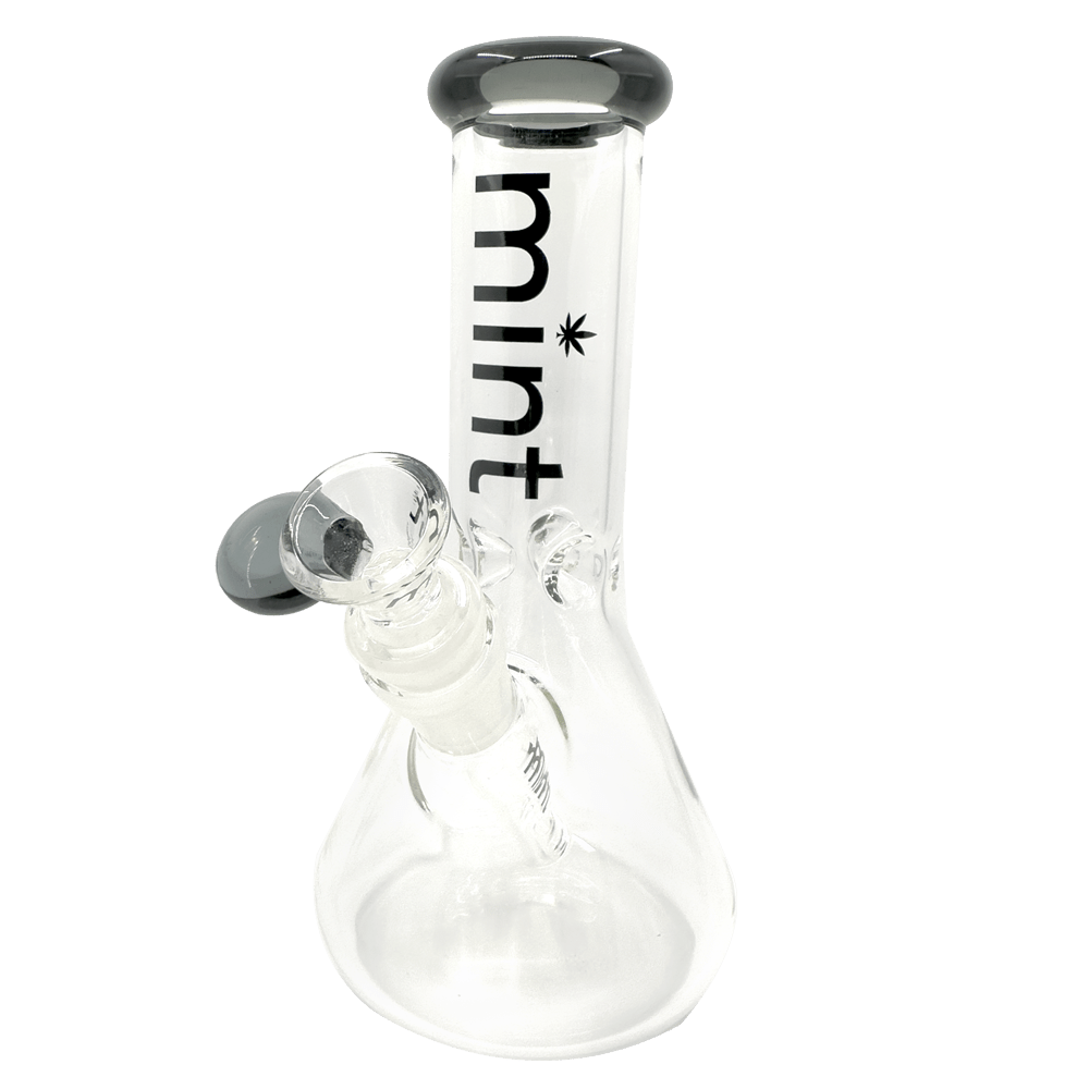 8" Mint Stubby Beaker Bong Mint Glass Bongs Canada