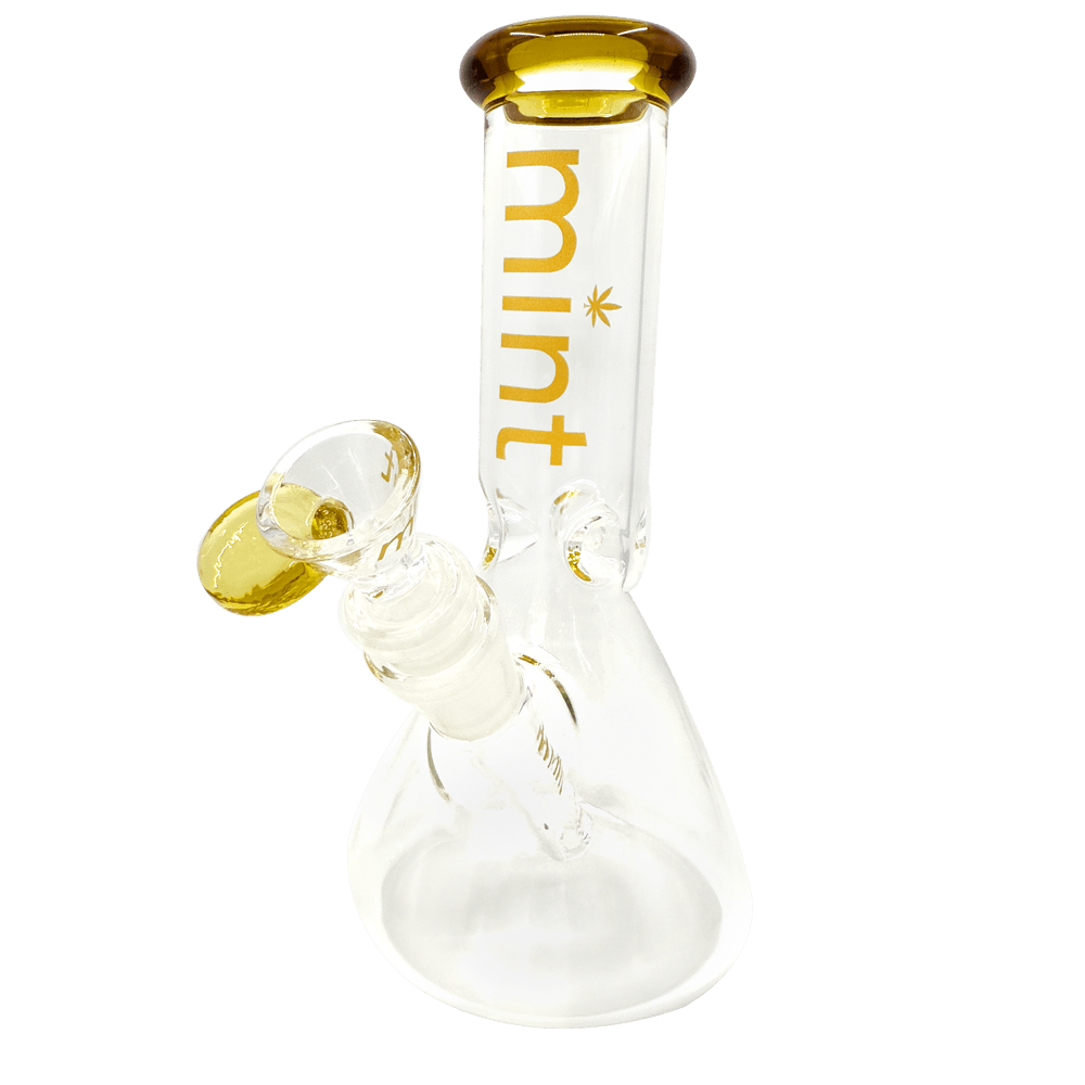 8" Mint Stubby Beaker Bong Mint Glass Bongs Canada