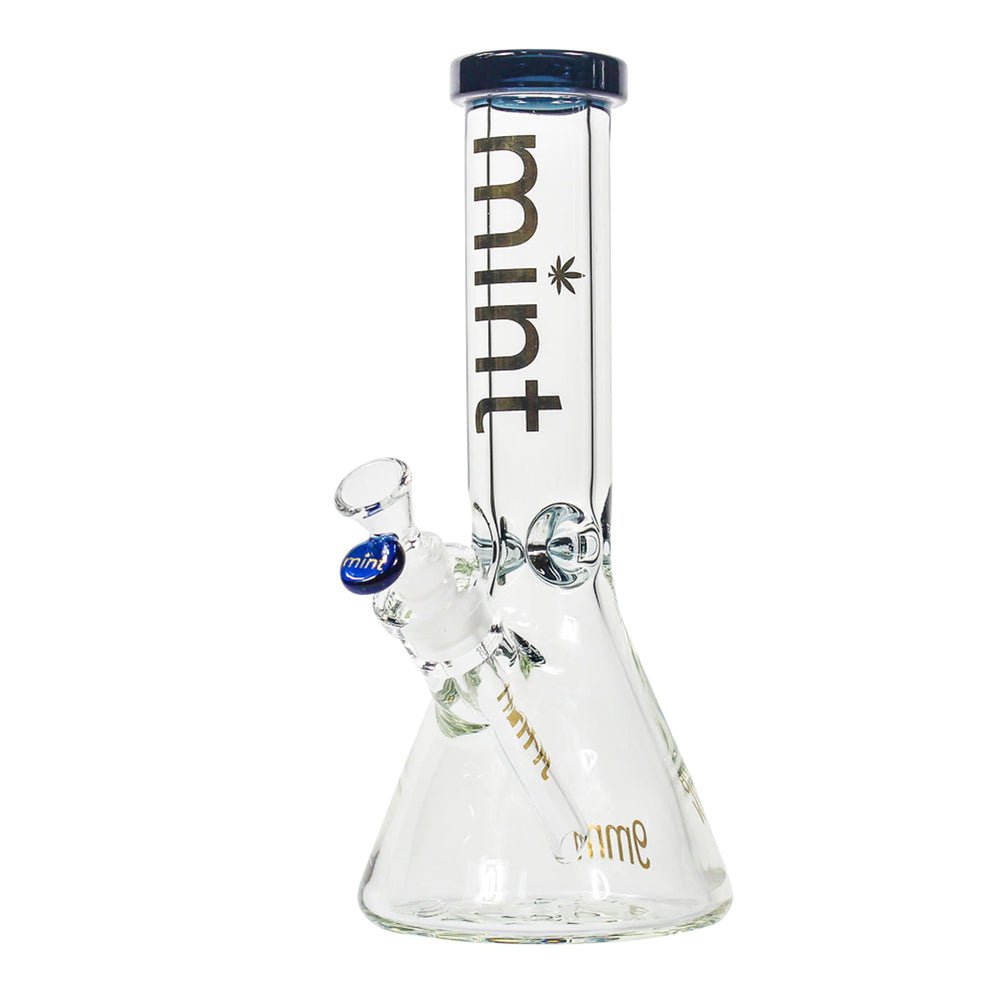 Thicc Chick (9mm) - Purple simple Mint Glass Bongs Canada