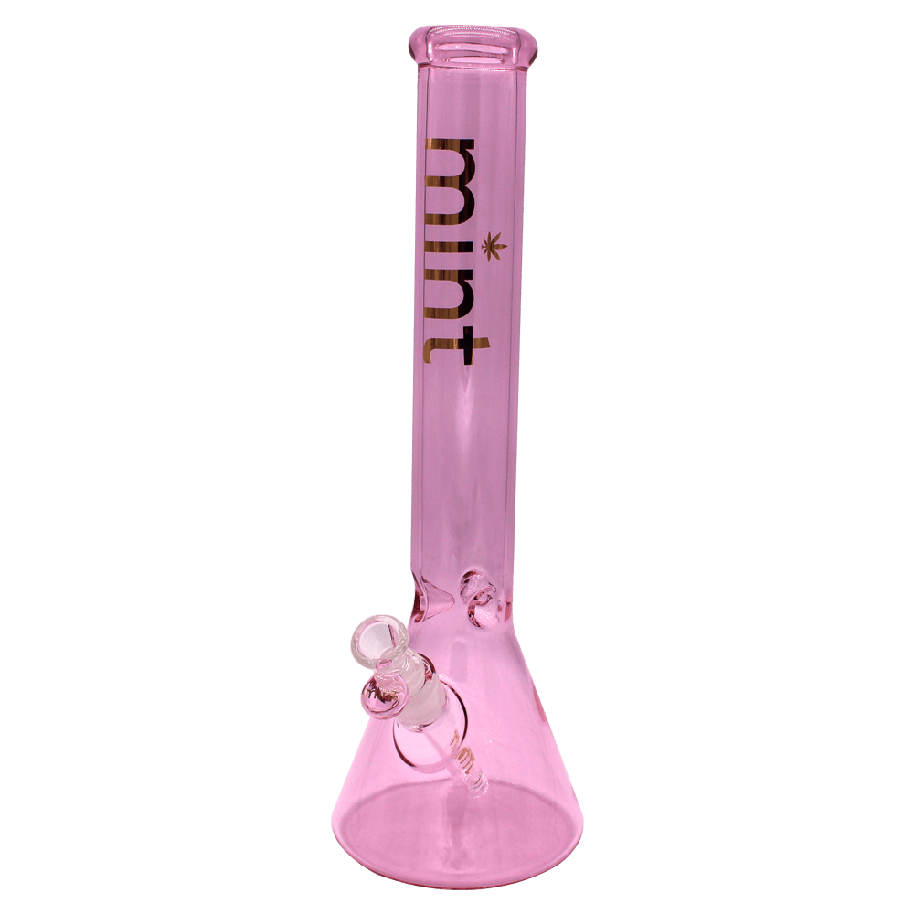 16” Mint Shady Lady Beaker Bong (5mm) simple Mint Glass Bongs Canada